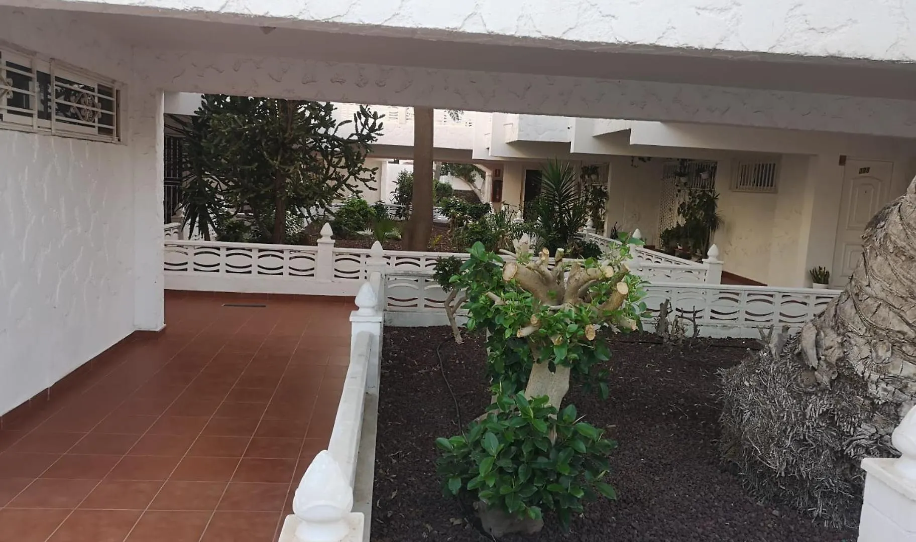 Apartment Estudio Chaparral Cristina Costa Del Silencio